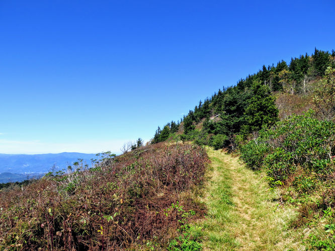 Picture 37 of Woody Ridge Trail Hike 100117