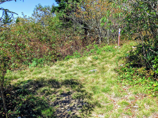 Picture 38 of Woody Ridge Trail Hike 100117