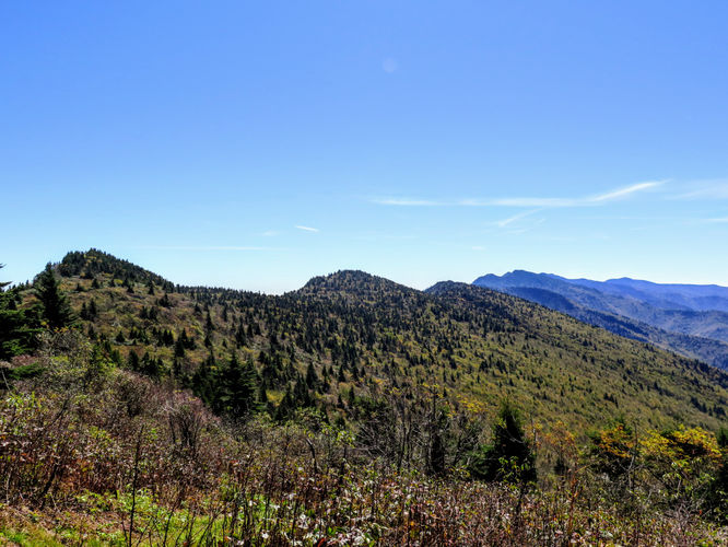 Picture 39 of Woody Ridge Trail Hike 100117