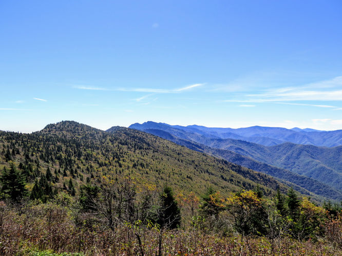 Picture 40 of Woody Ridge Trail Hike 100117