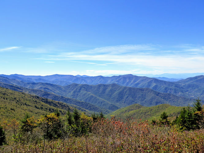 Picture 44 of Woody Ridge Trail Hike 100117