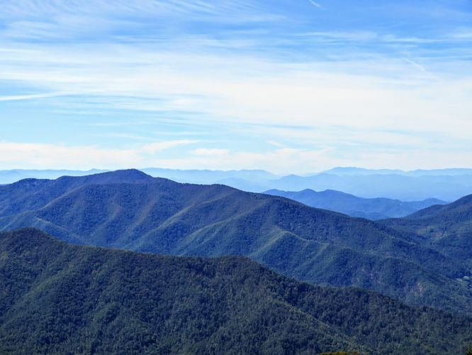 Picture 45 of Woody Ridge Trail Hike 100117