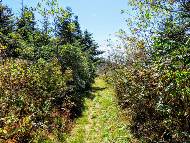 Picture 46 of Woody Ridge Trail Hike 100117