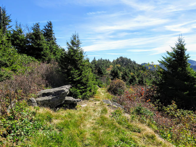 Picture 47 of Woody Ridge Trail Hike 100117