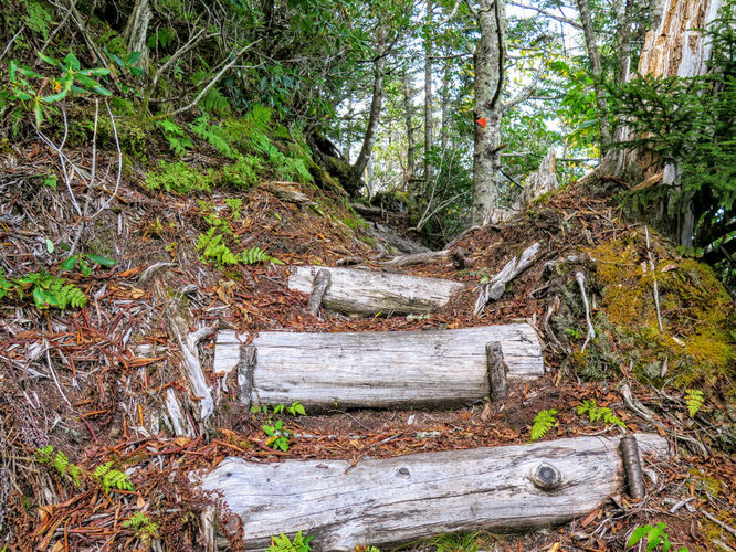 Picture 50 of Woody Ridge Trail Hike 100117