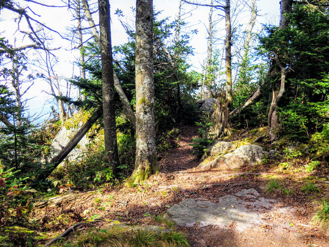 Picture 52 of Woody Ridge Trail Hike 100117