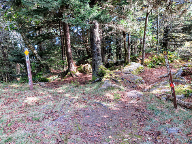 Picture 53 of Woody Ridge Trail Hike 100117