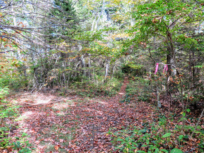 Picture 55 of Woody Ridge Trail Hike 100117