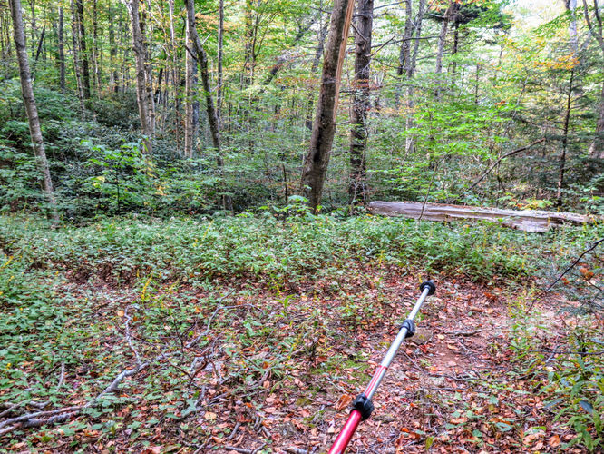 Picture 58 of Woody Ridge Trail Hike 100117