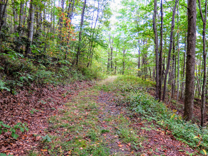 Picture 62 of Woody Ridge Trail Hike 100117