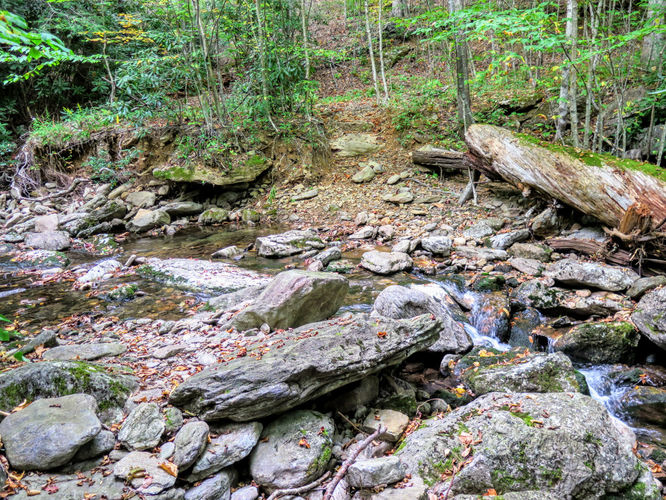 Picture 63 of Woody Ridge Trail Hike 100117