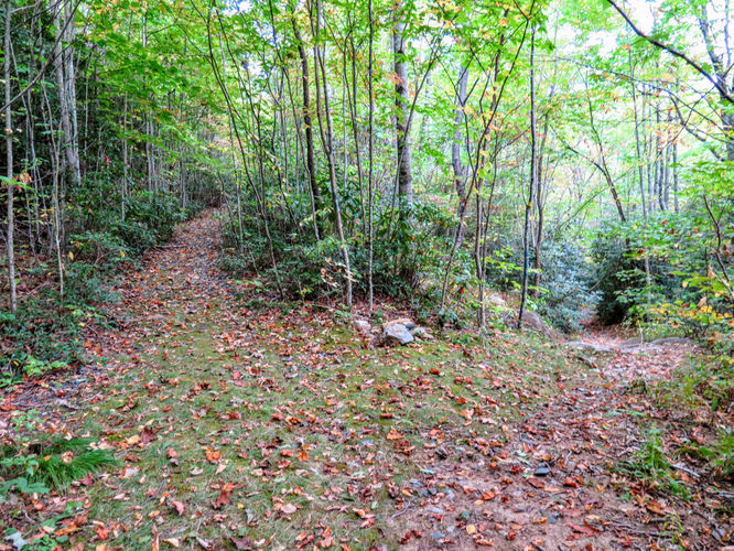 Picture 64 of Woody Ridge Trail Hike 100117