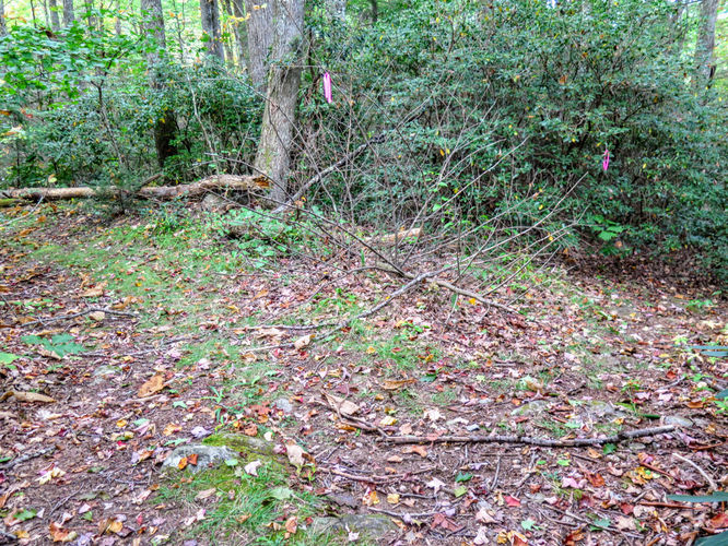 Picture 66 of Woody Ridge Trail Hike 100117