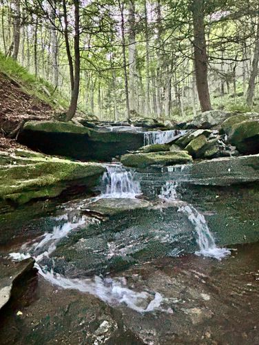 Cold Run Waterfalls & Vista Loop - WorldsEnd ColdRun July2025 album