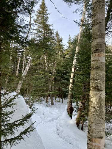 Snowy Algonquin Trail