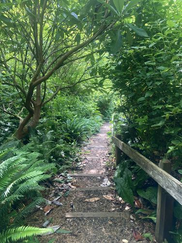 Default image for Ya'Xaik Trail, a 0.7-mile trail in Yachats, OR (US)