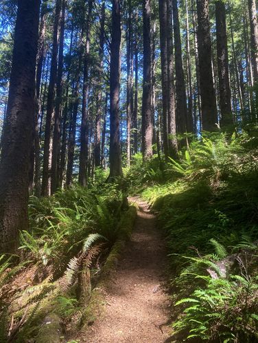 Picture 4 of Ya’Xaik Trail