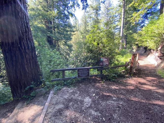 Trail junction with Carbonera Creek Trail
