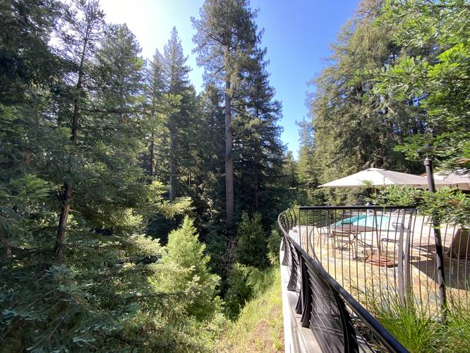 Infinity pool view into ancient redwood grove