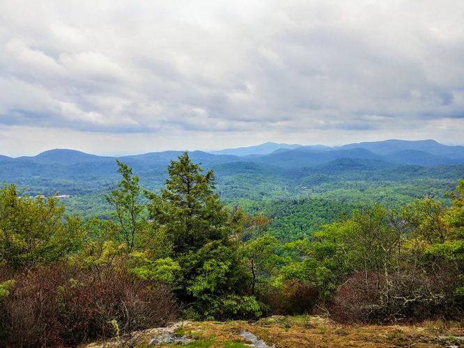 Picture 2 of Yellow Mountain Lookout Tower Hike 052717