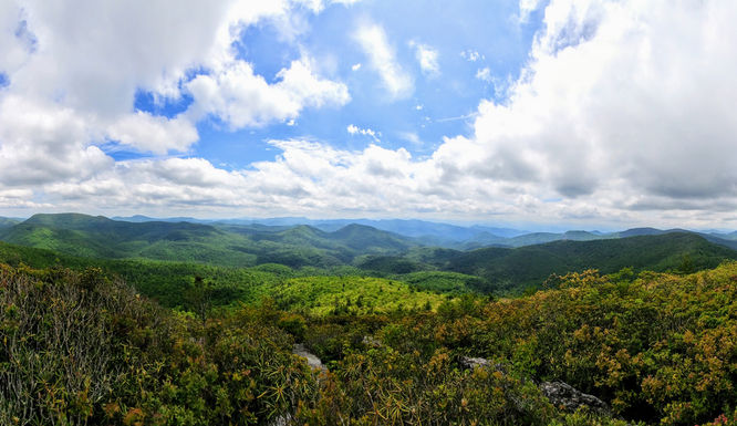 Picture 5 of Yellow Mountain Lookout Tower Hike 052717