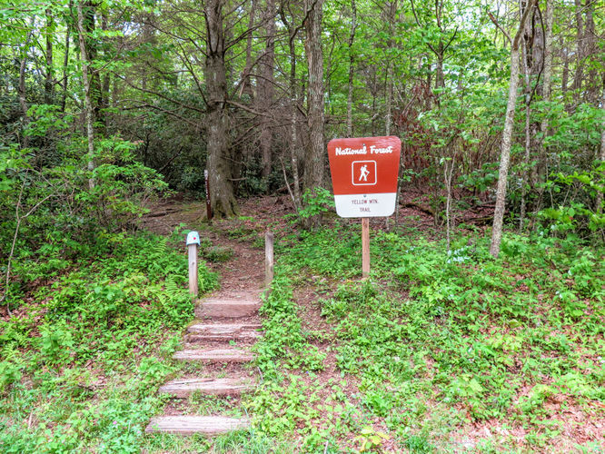 Picture 9 of Yellow Mountain Lookout Tower Hike 052717
