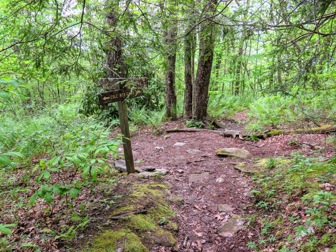 Picture 22 of Yellow Mountain Lookout Tower Hike 052717
