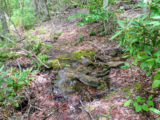 Picture 23 of Yellow Mountain Lookout Tower Hike 052717