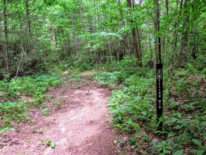 Picture 26 of Yellow Mountain Lookout Tower Hike 052717