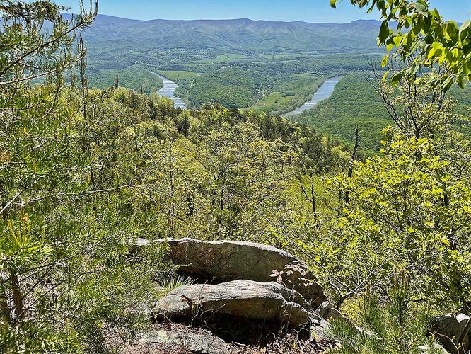 Picture 8 of Yoda Overlook Hike 051022