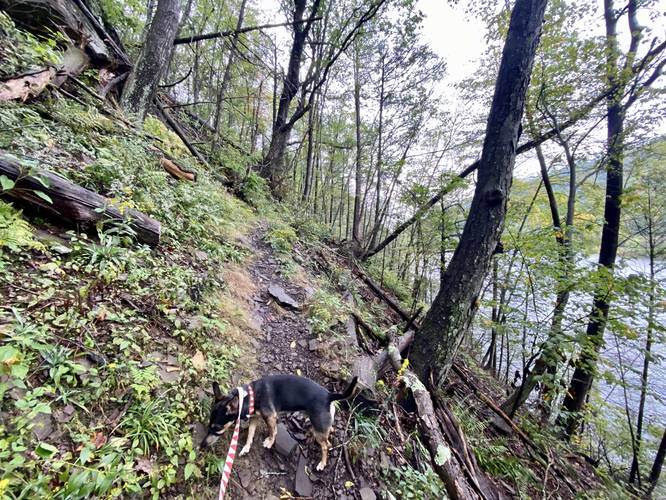 Steep narrow trail loops around Keller Reservoir's wesern banks