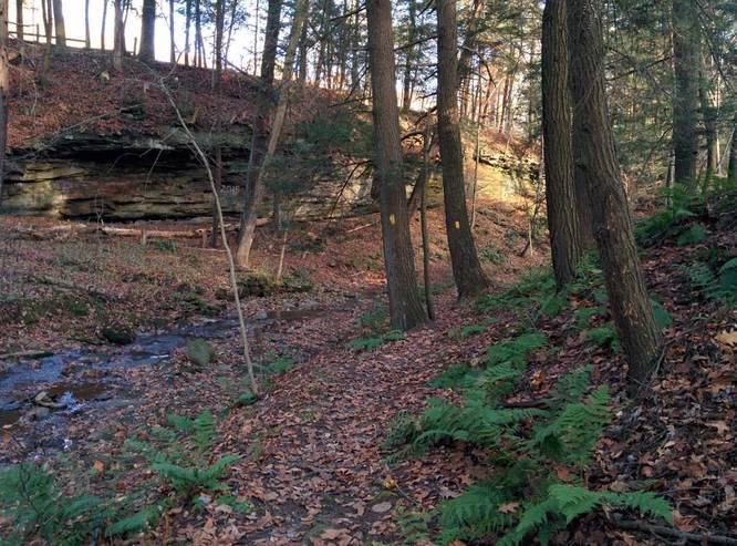 Rachel Carson Trail