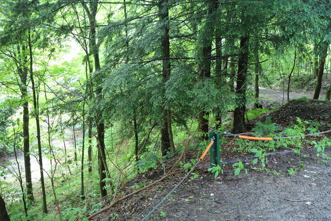 Picture 2 of rock furnace trail north trailhead